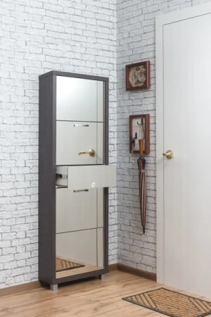 Обувница Люкс фасад зеркало Шкафы 4-х секционные Плюс Обувница Люкс фасад зеркало Шкафы 4-х секционные Плюс