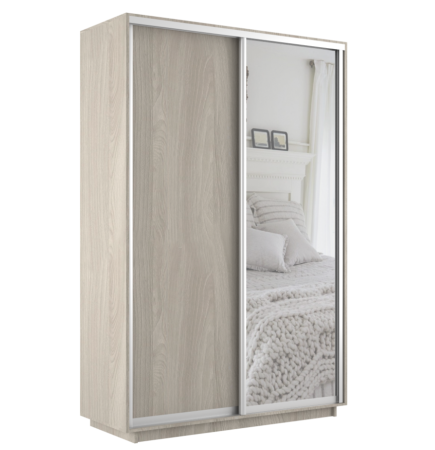 Шкаф-купе Экспресс 2-х дверный (ЛДСП, Зеркало)