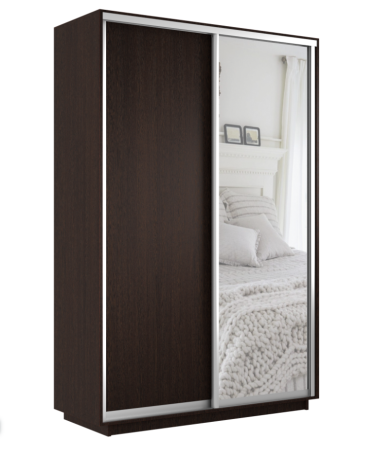 Шкаф-купе Экспресс 2-х дверный (ЛДСП, Зеркало)