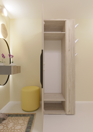 Шкаф для одежды СКАЙ 500С Соната / Соната