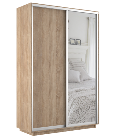 Шкаф-купе Экспресс 2-х дверный (ЛДСП, Зеркало)