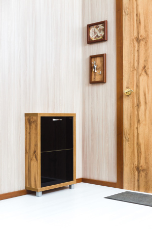 Обувница Люкс стекло черное Шкафы 2-х секционные