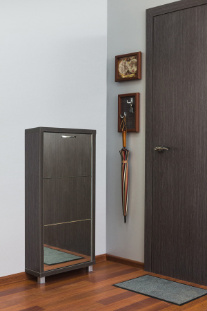 Обувница Люкс фасад зеркало Шкафы 3-х секционные