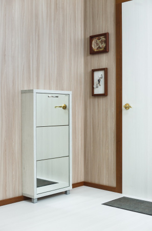 Обувница Люкс фасад зеркало Шкафы 3-х секционные