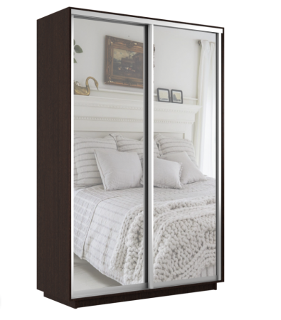 Шкаф-купе Экспресс 2-х дверный (Зеркало)