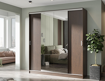 Шкаф-купе Альянс 2 1500