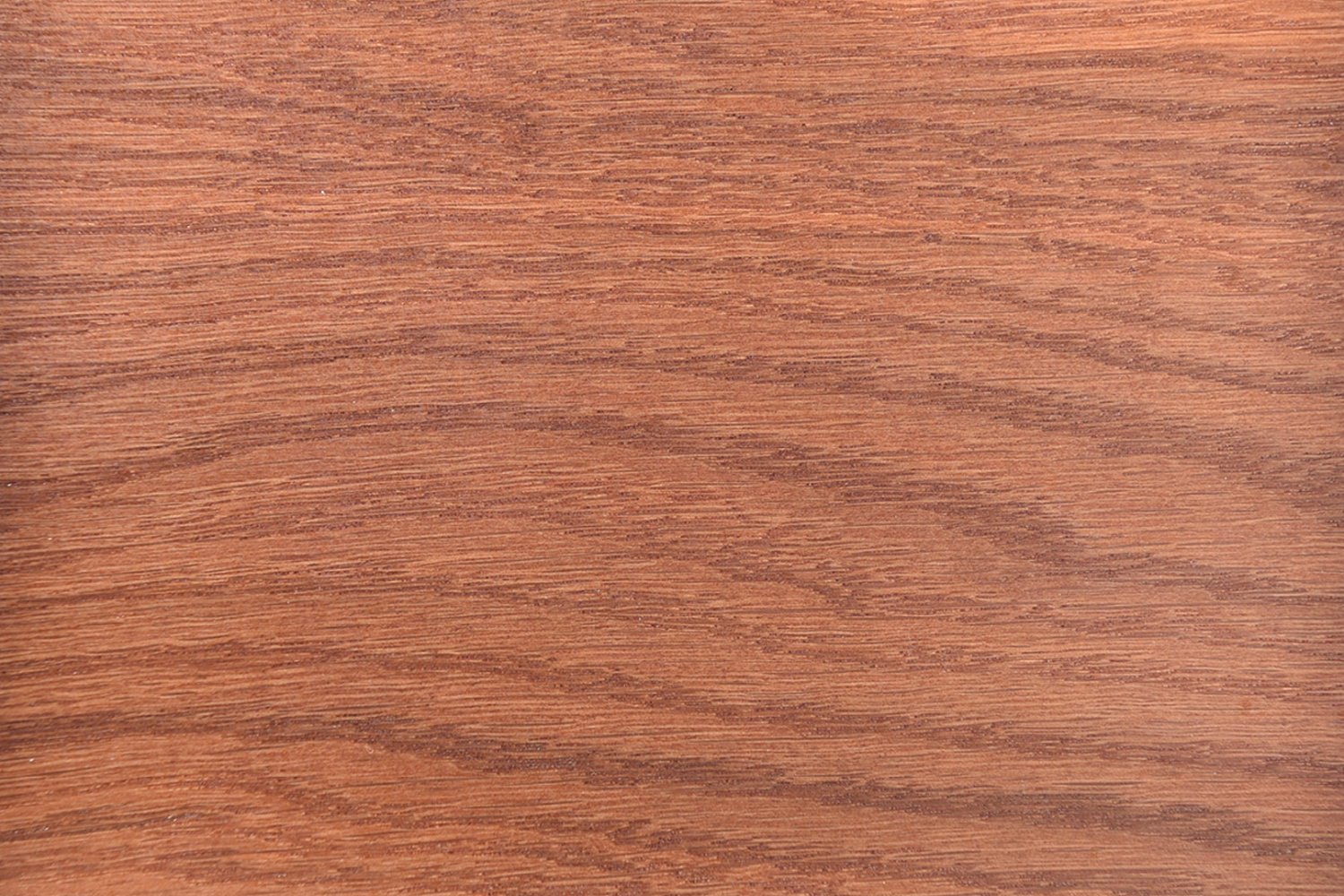 Классический стул из массива Кабриоль ЖС с жёсткой спинкой 