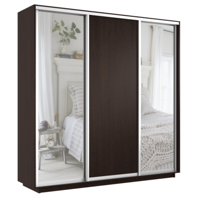 Шкаф-купе Экспресс 3-х дверный (Зеркало, ЛДСП)