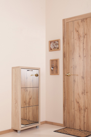 Обувница Люкс фасад зеркало Шкафы 3-х секционные