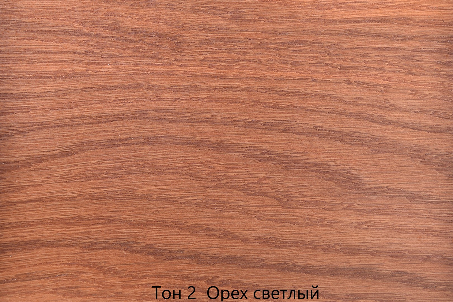 Стул из массива Сибарит-2 ЖС с жёсткой спинкой и мягким сиденьем