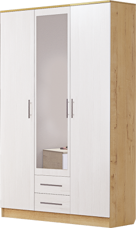 № 4 Шкаф 3х (Светлана)
