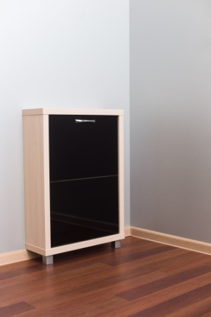 Обувница Люкс стекло черное Шкафы 2-х секционные