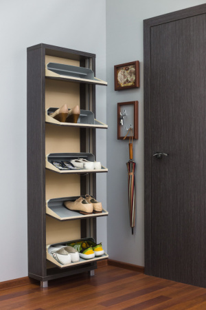 Обувница Люкс фасад ЛДСП Шкафы 5-ти секционный