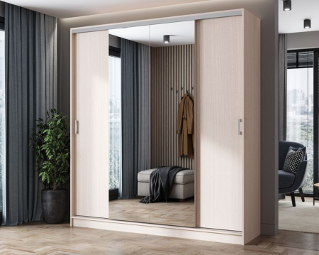 Шкаф-купе Альянс 2 1500