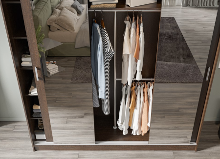 Шкаф-купе Альянс 2 1500