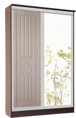 Шкаф купе 2х (дверь + зеркало) Шкаф купе 2х (дверь + зеркало)