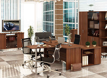 Набор мебели для офиса Лидер 82 205